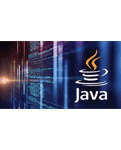 Java Development Service in India