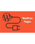 WP Plugin Development Service in India